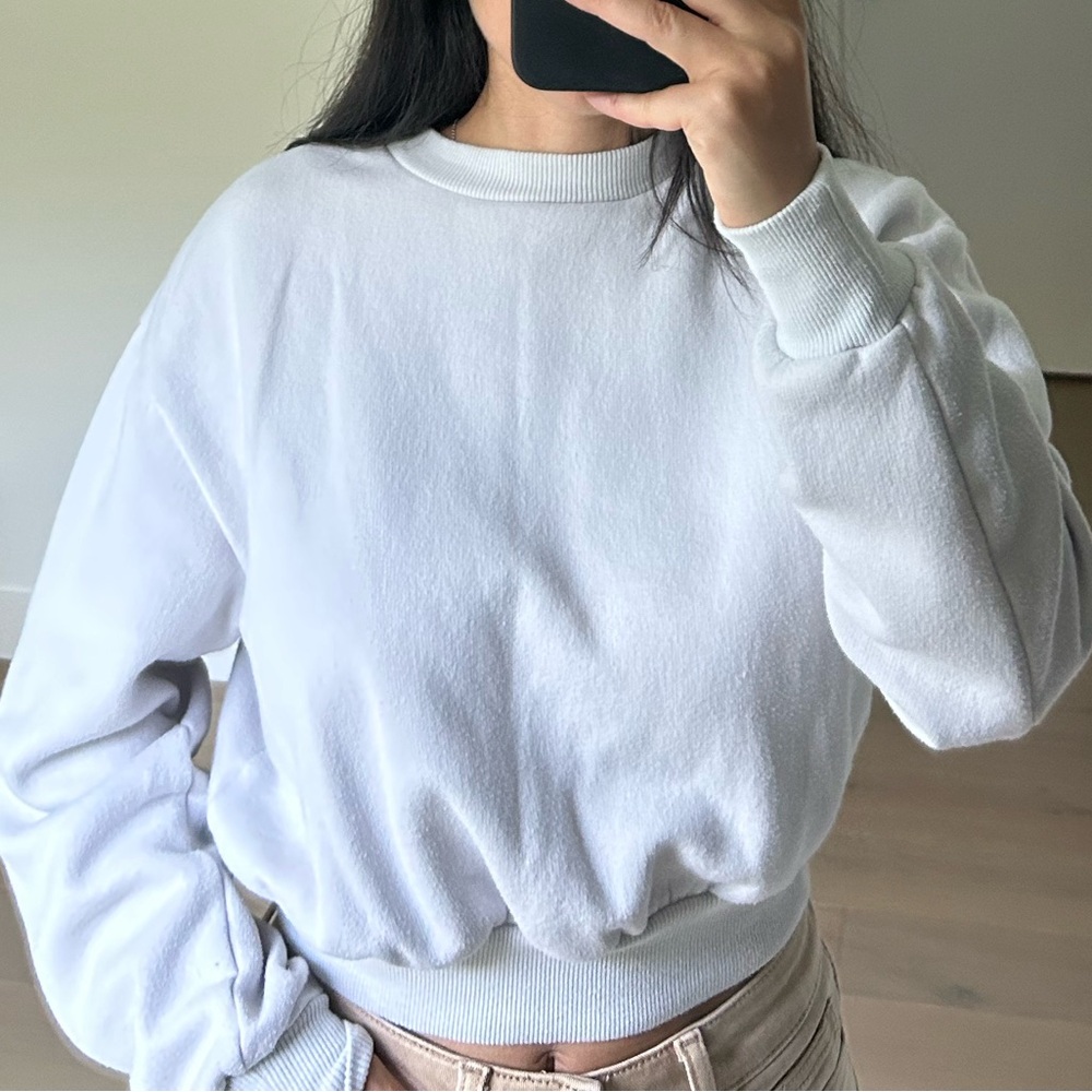 WILD FABLE cropped crew